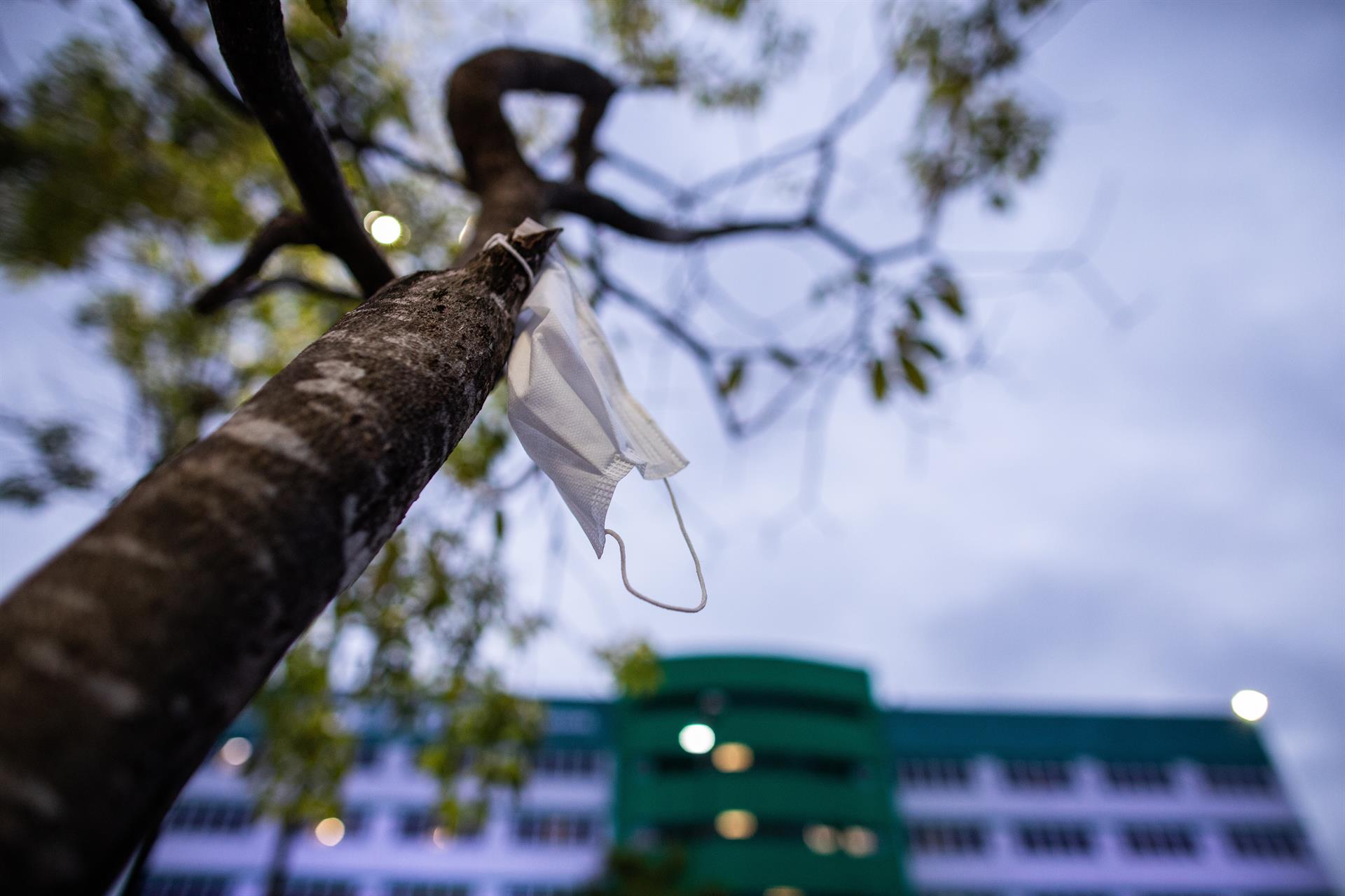 Fin de las mascarillas: ¿Me pueden obligar a llevarla en aviones, trenes o en el metro desde el 20 de abril? Fin de las mascarillas: ¿Me pueden obligar a llevarla en aviones, trenes o en el metro desde el 20 de abril?
