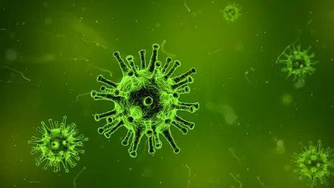 Señales del fin del mundo: Virus de humanos a animales Pixabay