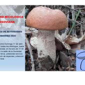 Sociedad Micológica de Segovia 