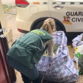 Detenidas dos personas en l'Enova y Cogullada por cultivo de marihuana