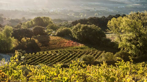 Sabor a M&aacute;laga