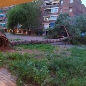 Las intensas precipitaciones provocan destrozos en Sagunto