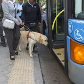 Los perros guía de la ONCE reclaman su derecho de acceso al transporte público junto a las personas ciegas