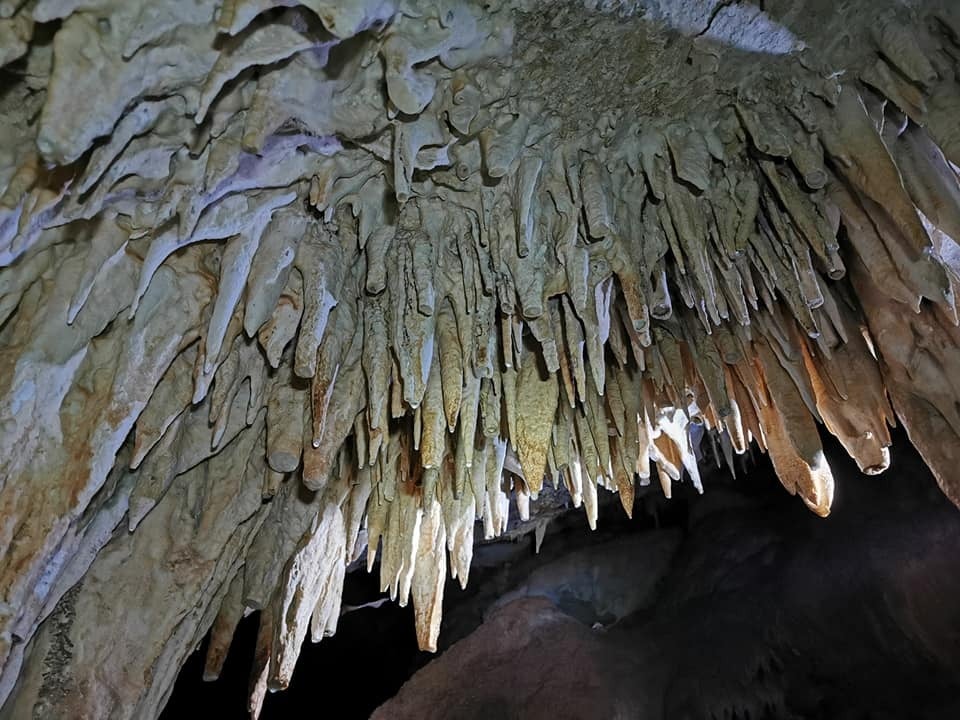 ¿Sabes que puedes iniciarte en la espeleología en la Cueva del Lobo de Enix? ¿Sabes que puedes iniciarte en la espeleología en la Cueva del Lobo de Enix?