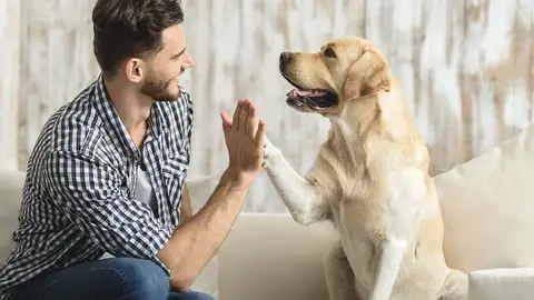 Ángel Osuna, adiestrador canino, "a nuestros perros les gusta que le hablemos" adiestramiento