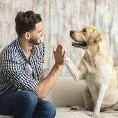 Ángel Osuna, adiestrador canino, "a nuestros perros les gusta que le hablemos" Ángel Osuna, adiestrador canino, "a nuestros perros les gusta que le hablemos"