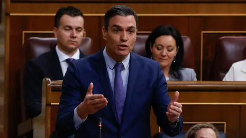 El presidente del Gobierno, Pedro Sánchez, durante la sesión de control El presidente del Gobierno, Pedro Sánchez, durante la sesión de control /EFE/ J.J.Guillén