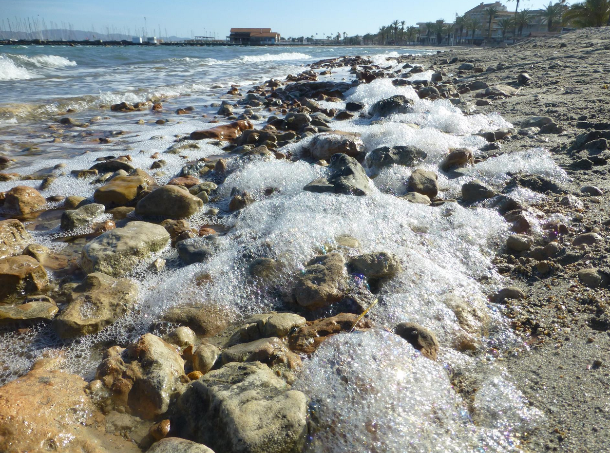 El Instituto Español de Oceanografía alerta del riesgo de un nuevo episodio de anoxia en el Mar Menor El Instituto Español de Oceanografía alerta del riesgo de un nuevo episodio de anoxia en el Mar Menor