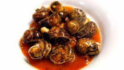 Caracoles en San Prudencio