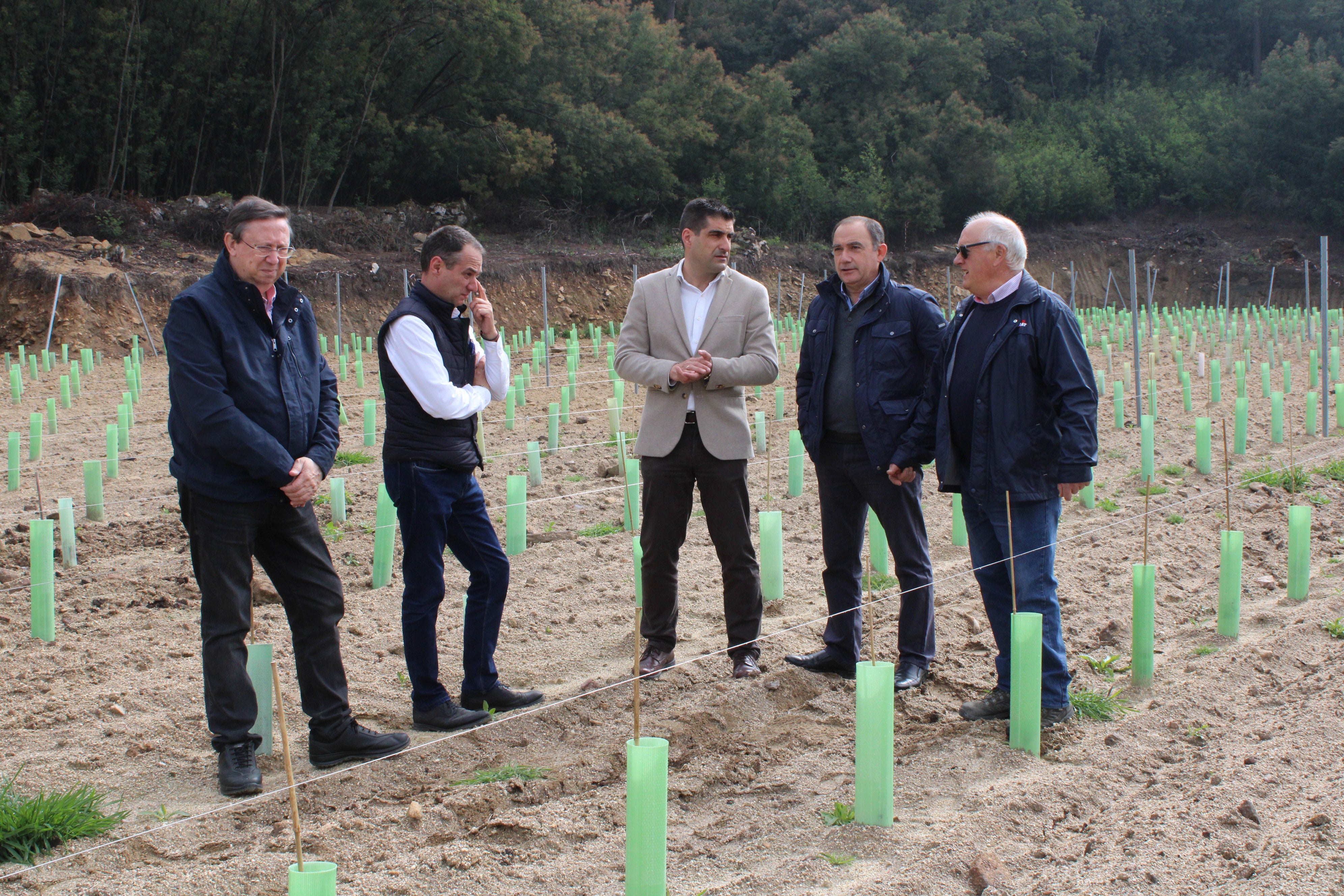 As axudas a reconversión de viñedos benificiará a 180 vitucultores As axudas a reconversión de viñedos benificiará a 180 vitucultores