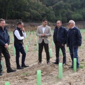 As axudas a reconversión de viñedos benificiará a 180 vitucultores