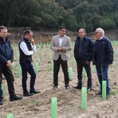 As axudas a reconversión de viñedos benificiará a 180 vitucultores As axudas a reconversión de viñedos benificiará a 180 vitucultores