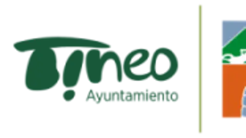 tineo feria tineo feria