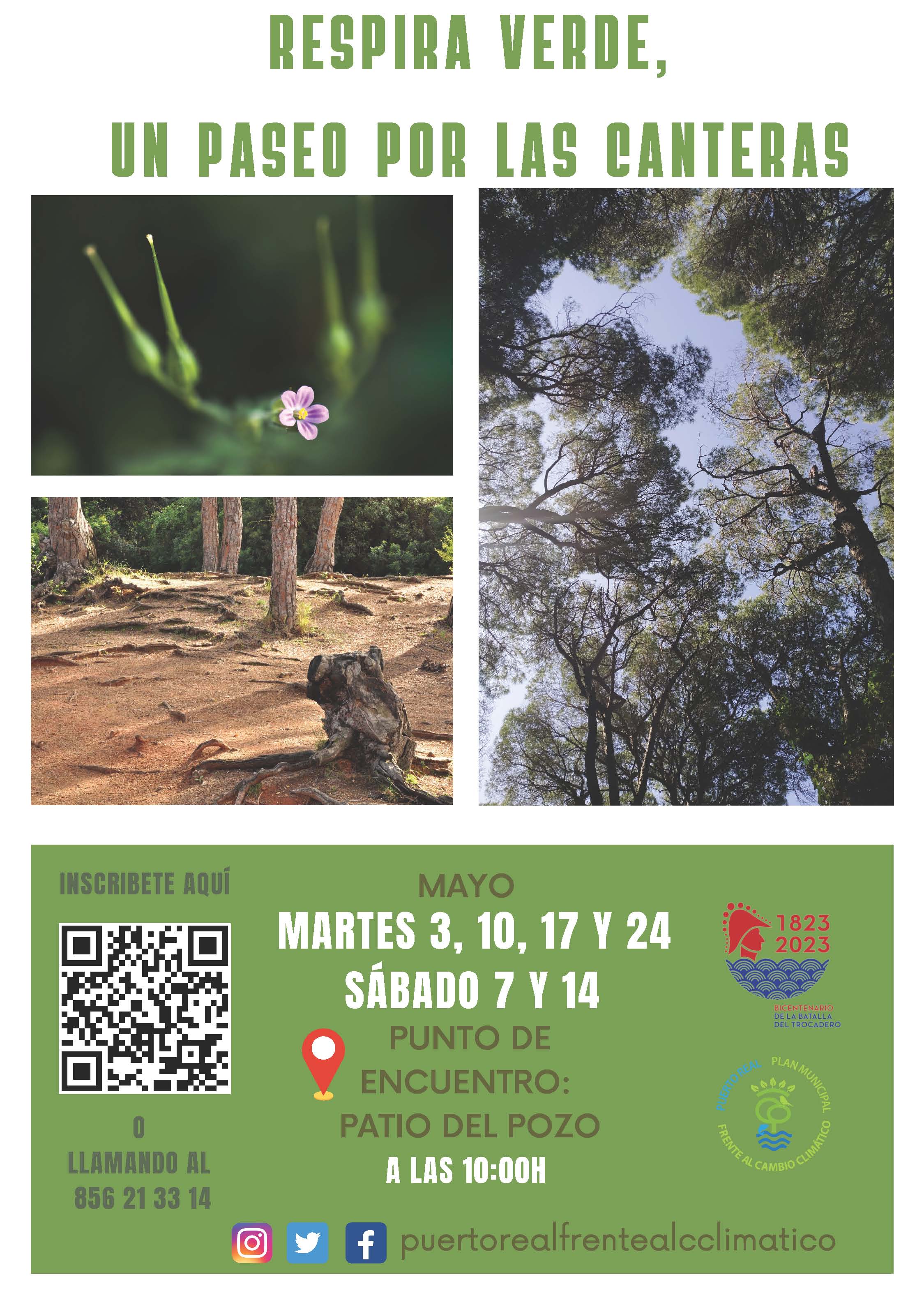 Puerto Real propone conocer el pinar de Las Canteras para poner el valor el medio ambiente Puerto Real propone conocer el pinar de Las Canteras para poner el valor el medio ambiente