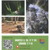 Cartel del evento en Puerto Real Cartel del evento en Puerto Real