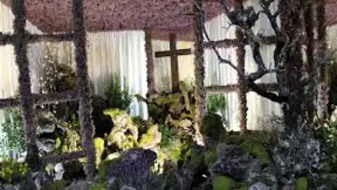 cruces de mayo cruces de mayo