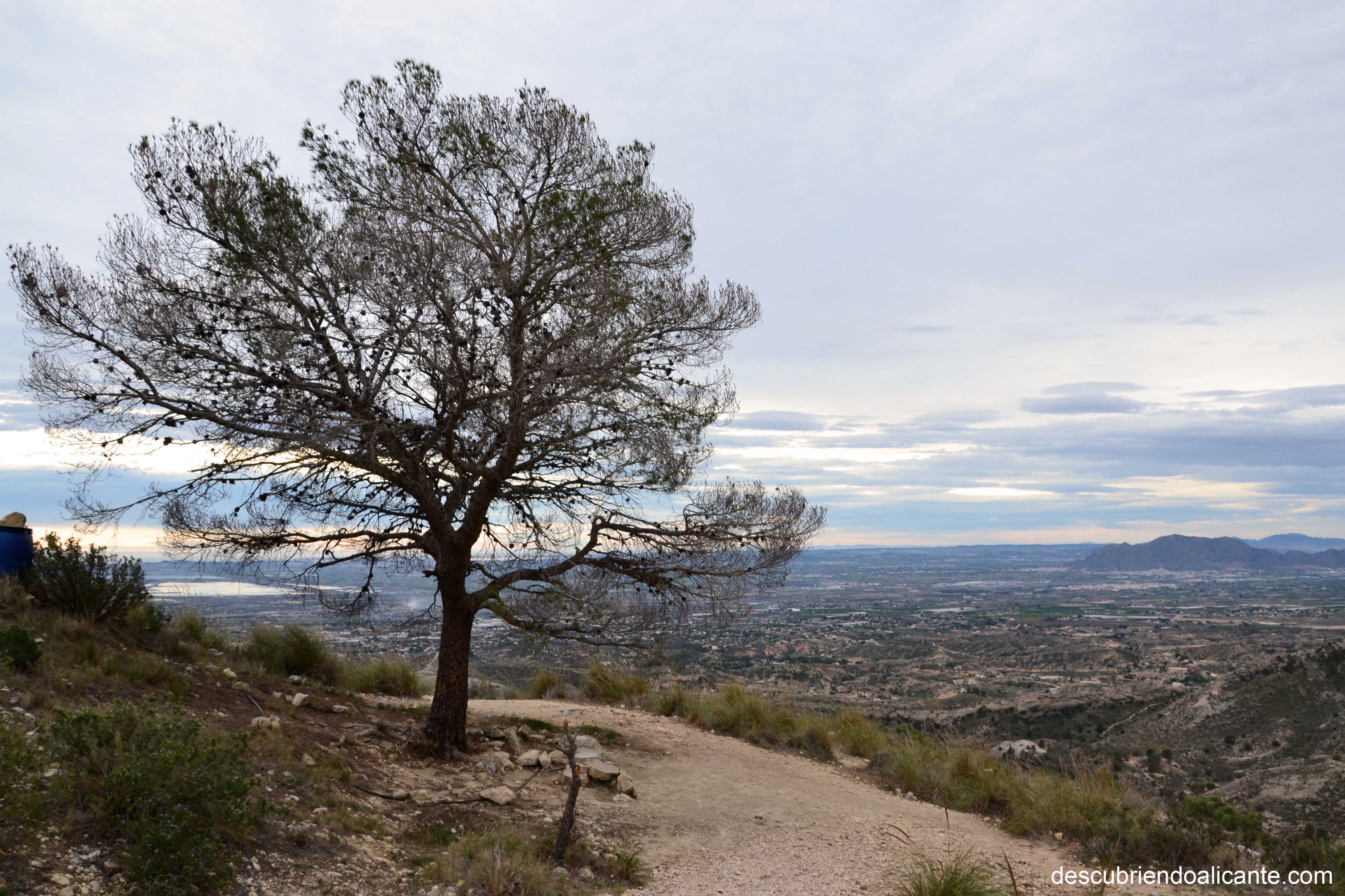 La Colla Ecologista El Campaná se suma al proyecto City Nature Challenge y promueve un biomaratón de fotografía La Colla Ecologista El Campaná se suma al proyecto City Nature Challenge y promueve un biomaratón de fotografía