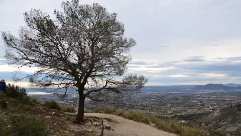 Sierra de Crevillent Sierra de Crevillent