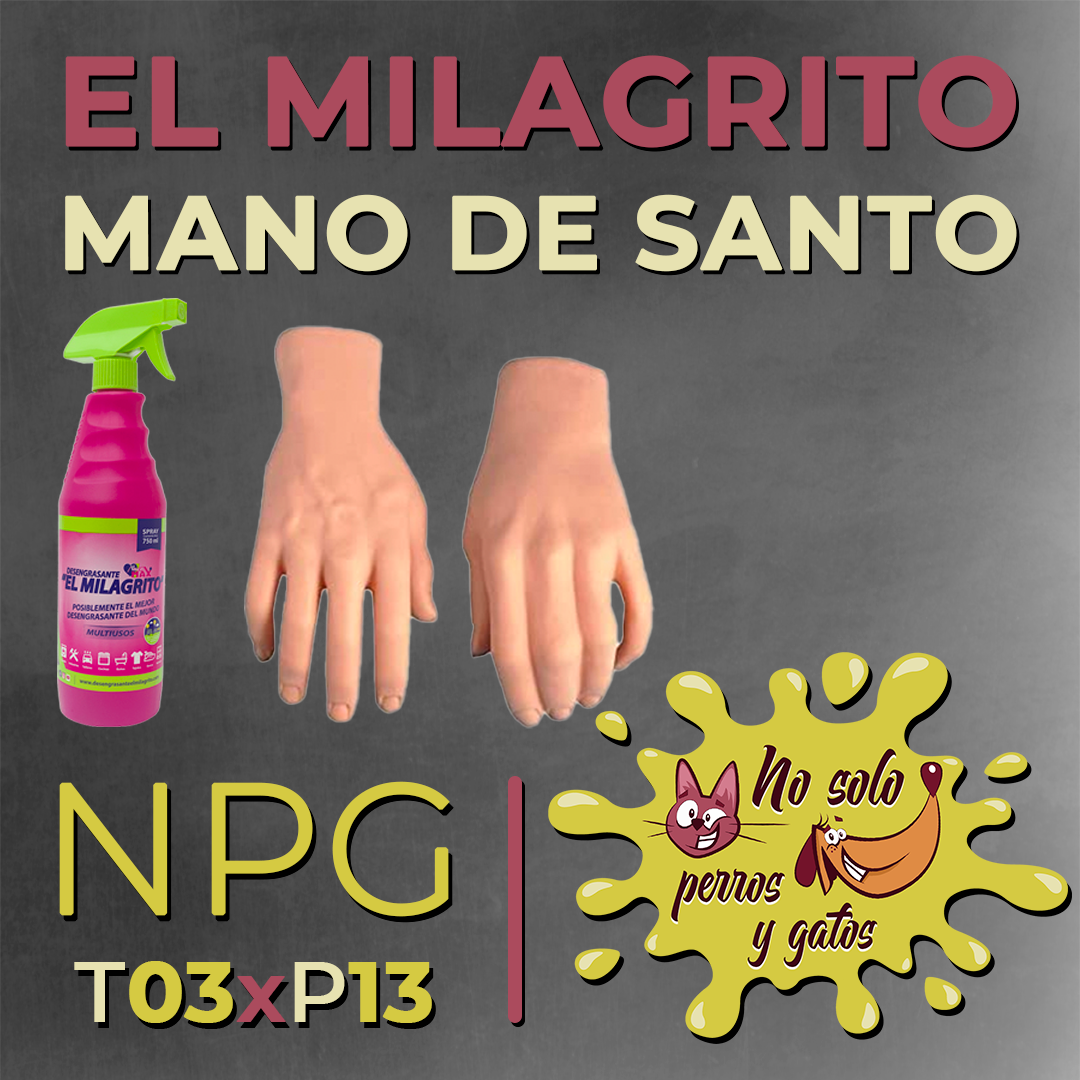 No Solo Perros y Gatos T03xE13: El Milagrito, mano de santo No Solo Perros y Gatos T03xE13: El Milagrito, mano de santo