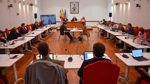 Pleno Ayuntamiento de Guadalajara.