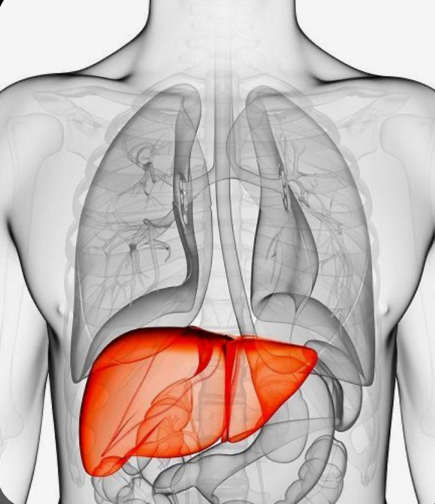 Especialistas médicos de Alicante descartan que haya relación entre la hepatitis infantil y la vacuna del Covid Especialistas médicos de Alicante descartan que haya relación entre la hepatitis infantil y la vacuna del Covid