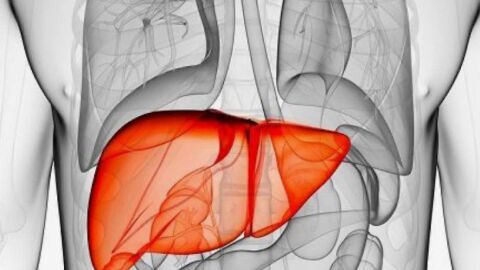 Hepatitis Infantil