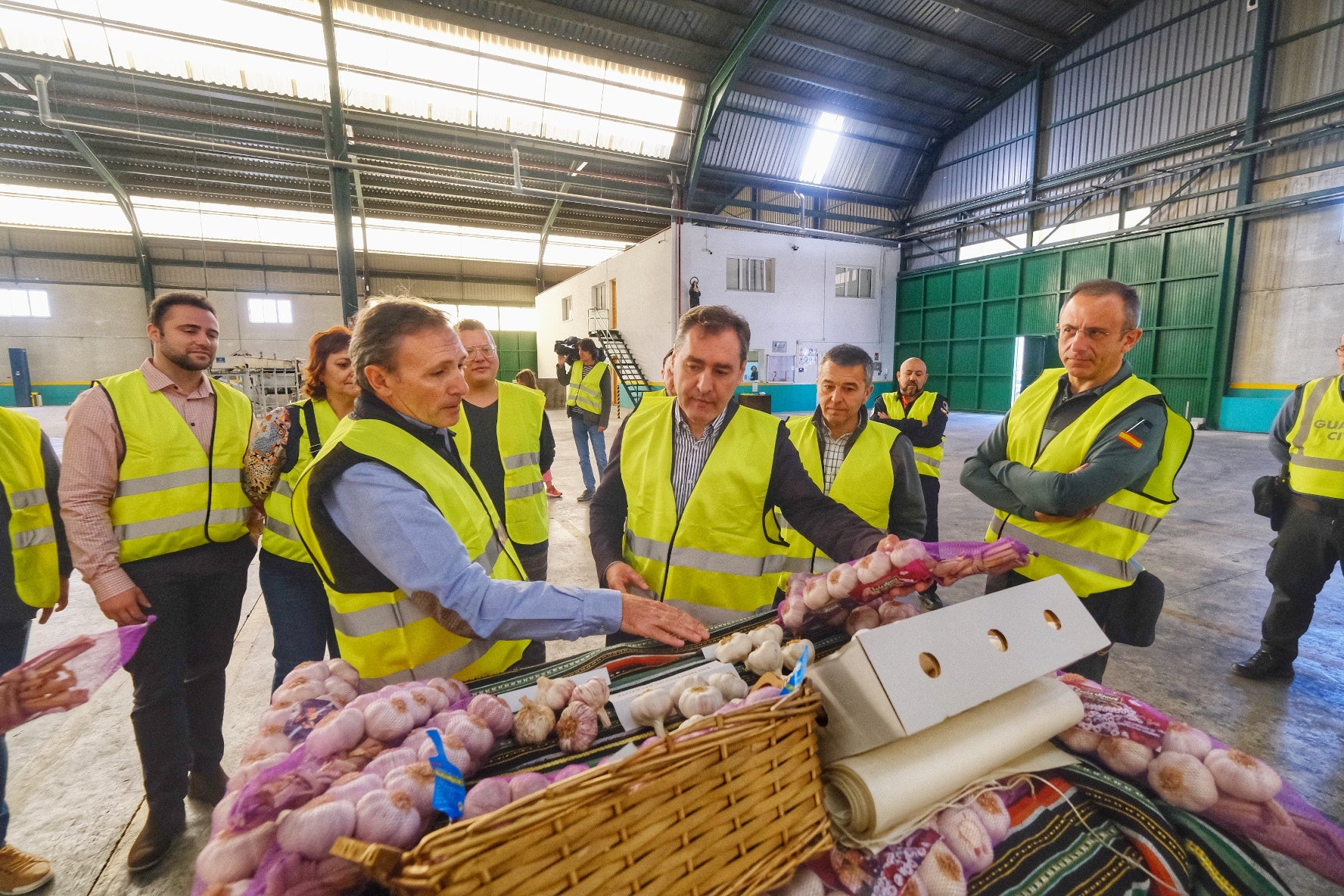 La campaña del ajo comienza con mano de obra suficiente, supervisión y las novedades de la última reforma laboral La campaña del ajo comienza con mano de obra suficiente, supervisión y las novedades de la última reforma laboral