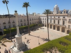 Los árboles de la Plaza Vieja se quedan Los árboles de la Plaza Vieja se quedan