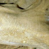 Grabado de la Edad del Bronce en la cueva de los Enebralejos