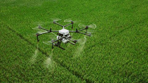 Un dron realizando tareas agrícolas