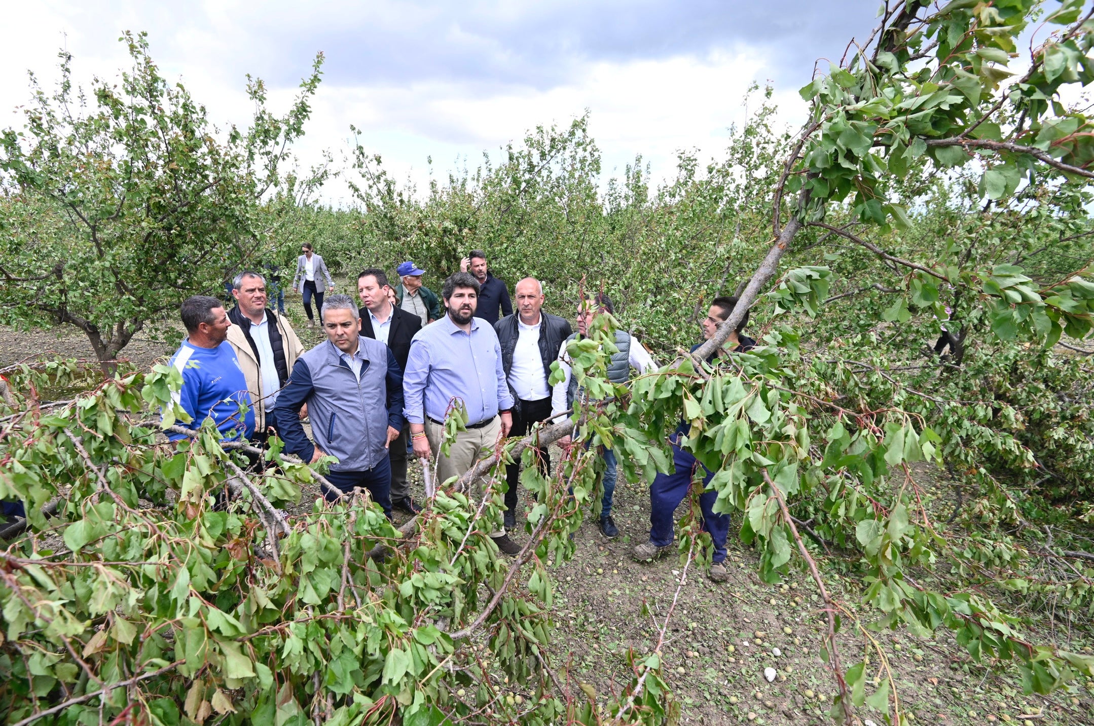 El Gobierno regional pagará el tratamiento de árboles afectados por el granizo y mediará en el cobro de seguros El Gobierno regional pagará el tratamiento de árboles afectados por el granizo y mediará en el cobro de seguros