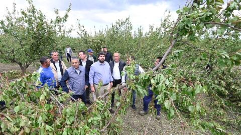 El Gobierno regional pagará el tratamiento de árboles afectados por el granizo y mediará en el cobro de seguros El Gobierno regional pagará el tratamiento de árboles afectados por el granizo y mediará en el cobro de seguros