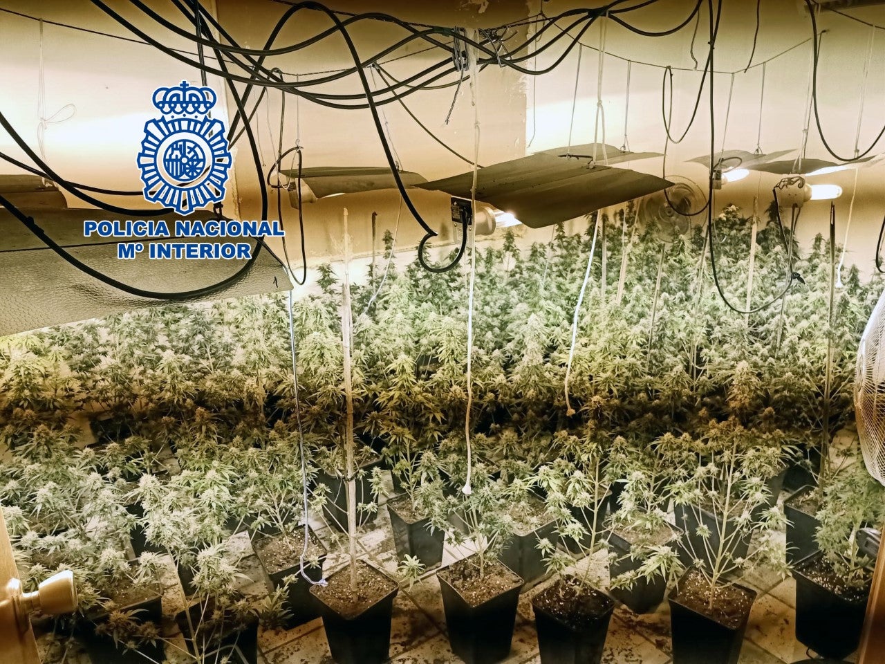 Desmantelan en Vila-real un punto de consumo y venta de drogas Desmantelan en Vila-real un punto de consumo y venta de drogas