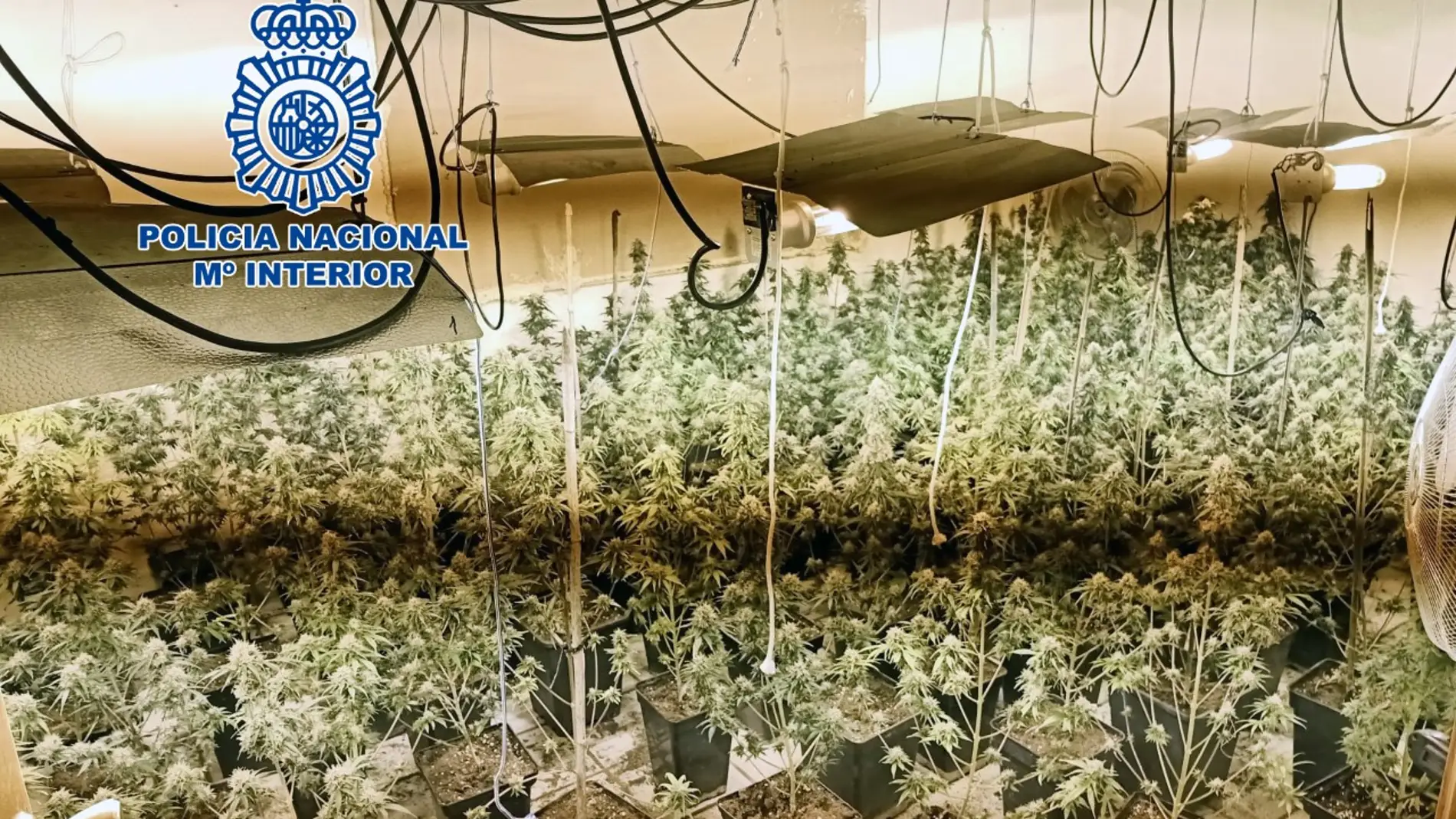 Desmantelan en Vila-real un punto de consumo y venta de drogas Desmantelan en Vila-real un punto de consumo y venta de drogas