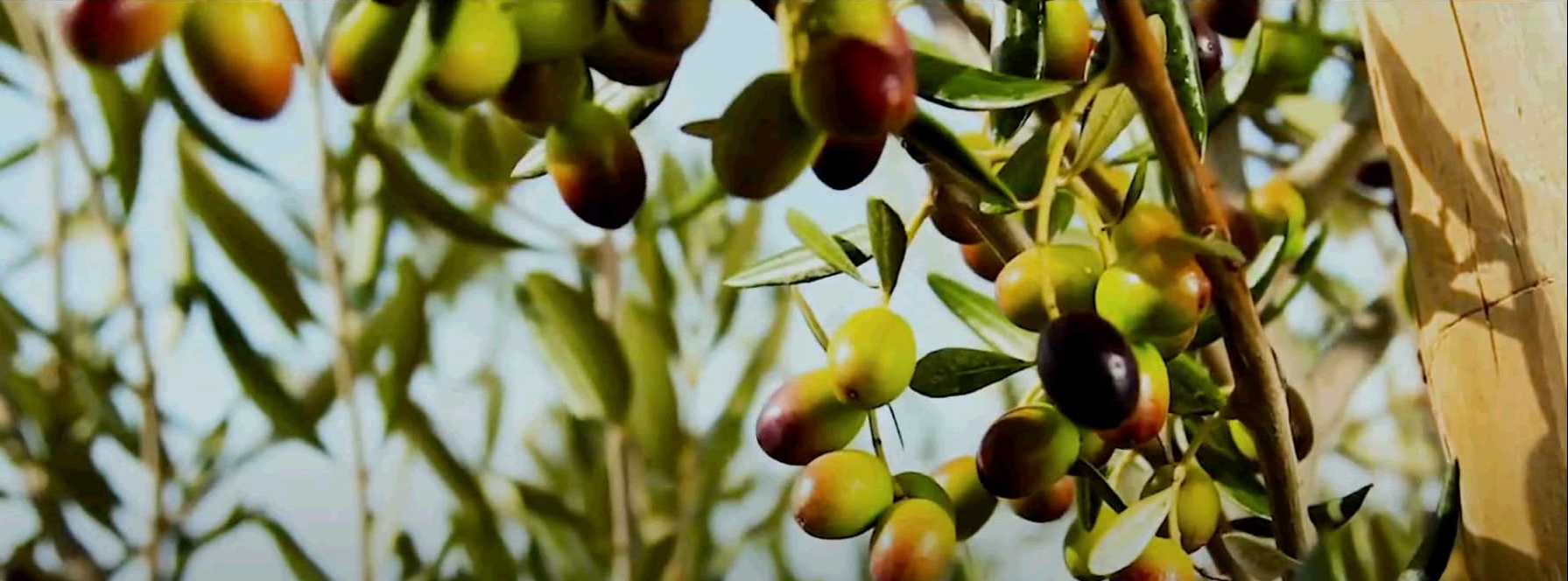 Noticias de Córdoba matinal 04/10/2022 Noticias de Córdoba matinal 04/10/2022