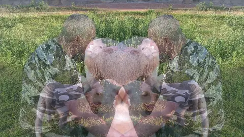 Multiverso Único en Acariciaperros Multiverso Único en Acariciaperros