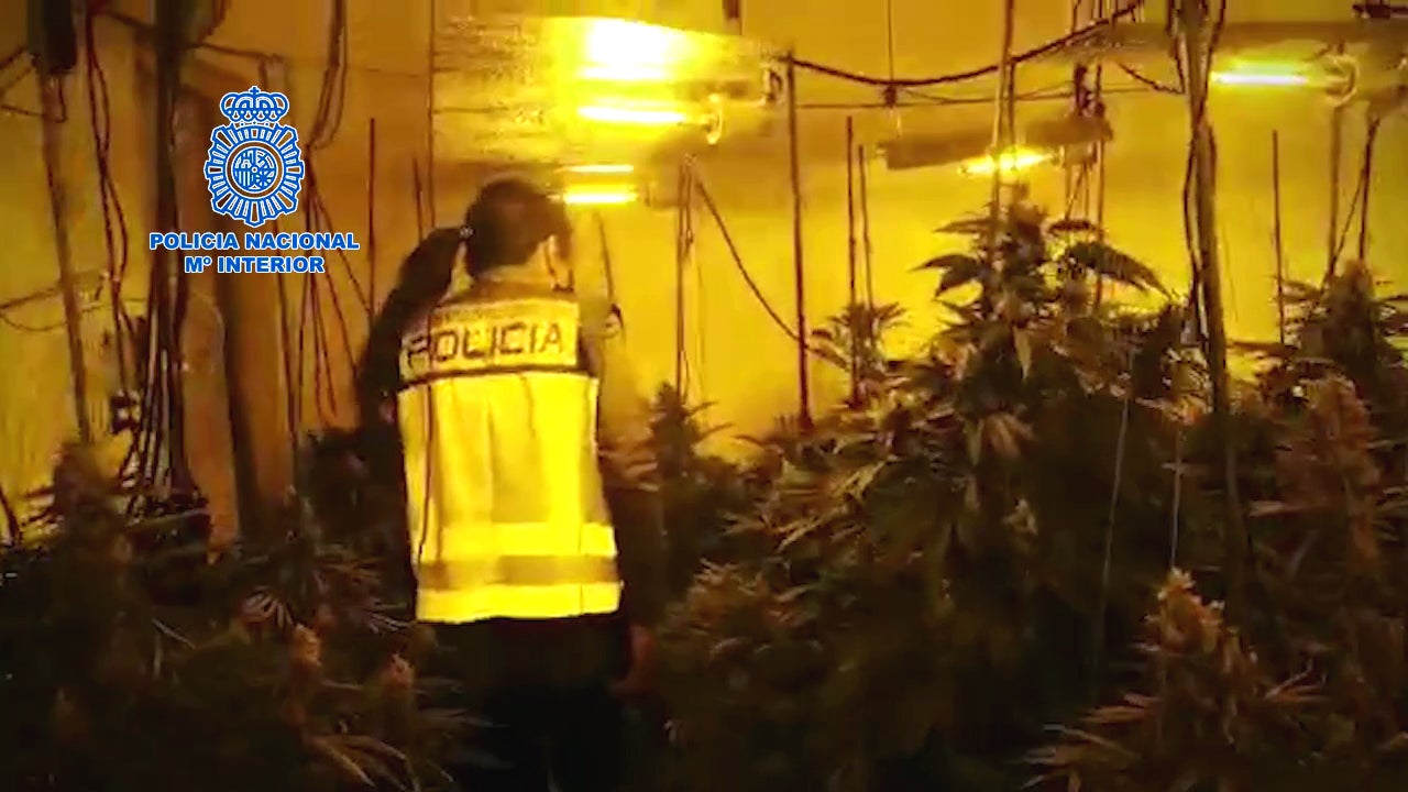 Detenidos en Benidorm 14 varones por tráfico de drogas Detenidos en Benidorm 14 varones por tráfico de drogas