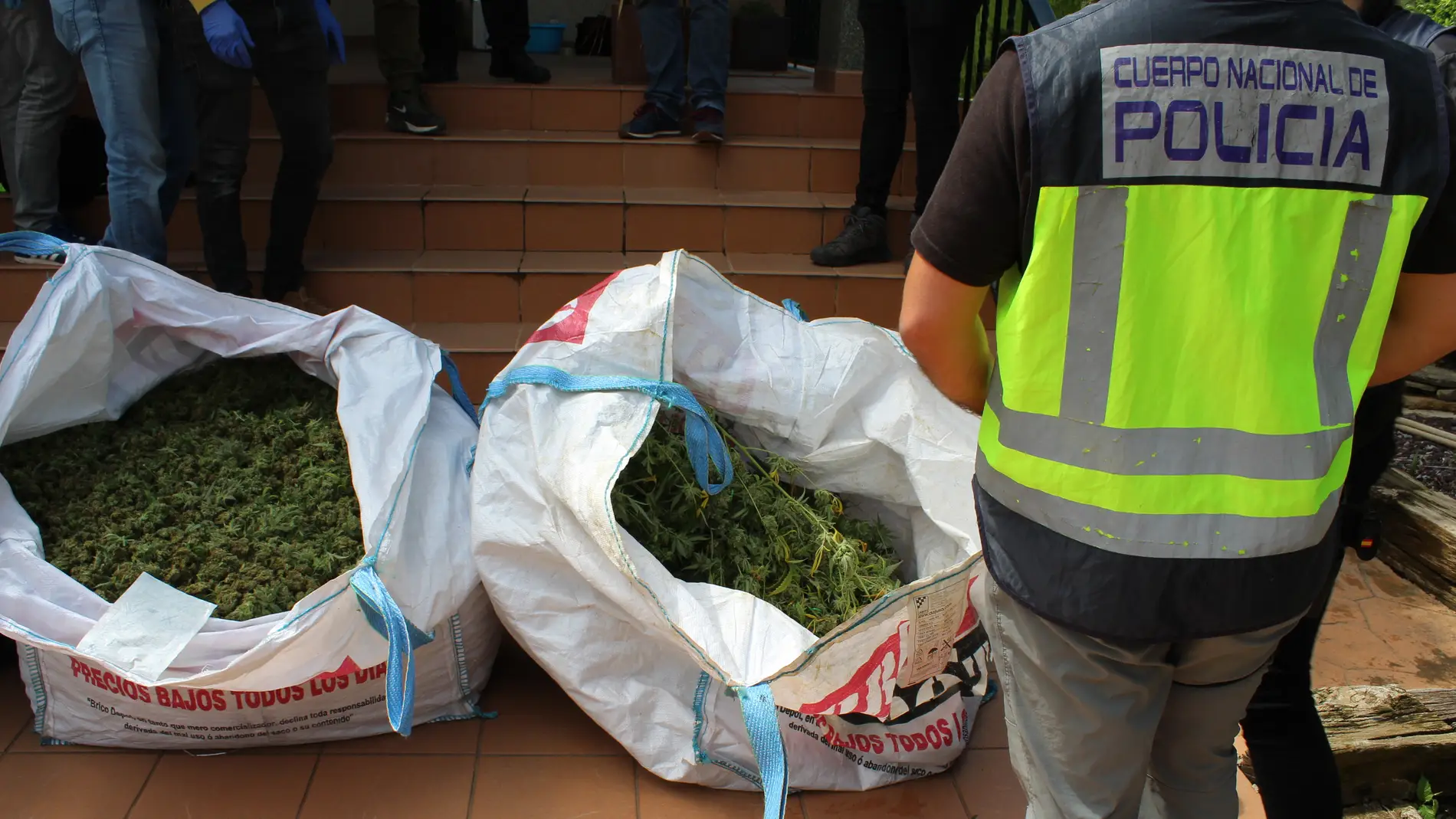 Detenidas nueve personas en la provincia de Valencia miembros de una red de cultivo de marihuana