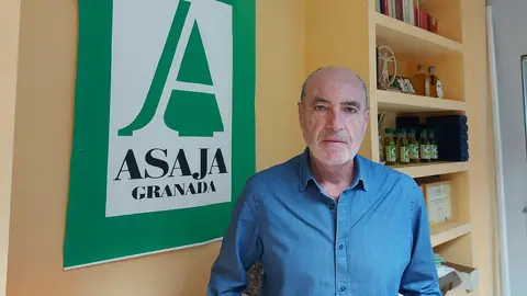 Manuel del Pino Manuel del Pino