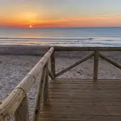 José Luís Sáez, Alcalde de Guardamar, seguimos trabajando en tener a punto nuestras playas José Luís Sáez, Alcalde de Guardamar, seguimos trabajando en tener a punto nuestras playas