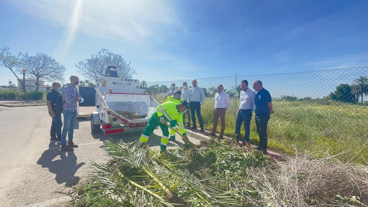 Elche pone en marcha el lunes la recogida de restos de poda puerta a puerta en el Camp d’Elx Elche pone en marcha el lunes la recogida de restos de poda puerta a puerta en el Camp d’Elx
