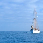 El Pascual Flores aumenta su estancia en Torrevieja 2 semanas más ofreciendo a bordo Bautizos de mar El Pascual Flores aumenta su estancia en Torrevieja 2 semanas más ofreciendo a bordo Bautizos de mar