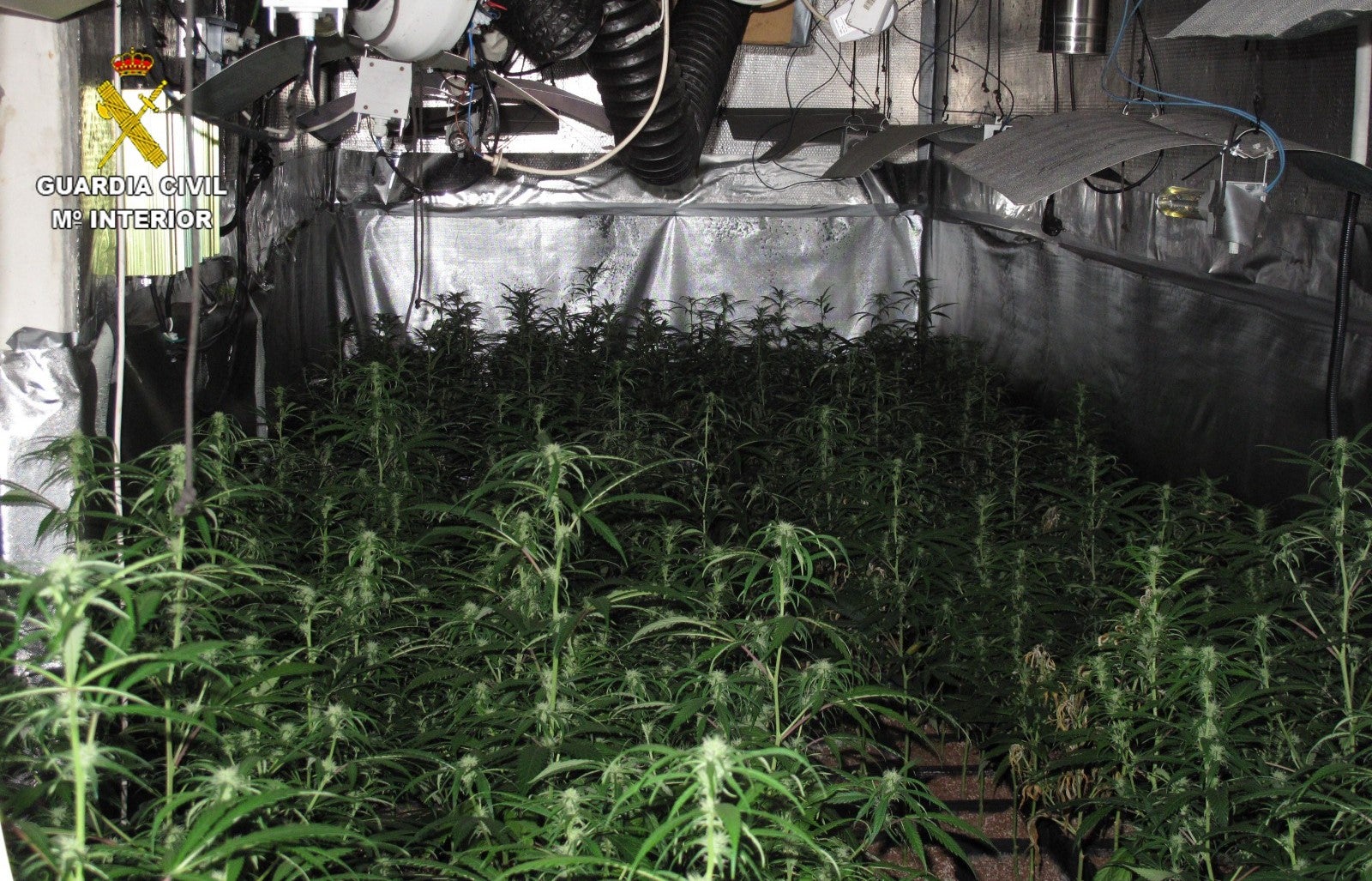 La Guardia Civil incauta ocho kilos de marihuana en Yeles y Esquivias La Guardia Civil incauta ocho kilos de marihuana en Yeles y Esquivias