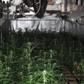 La Guardia Civil incauta ocho kilos de marihuana en Yeles y Esquivias