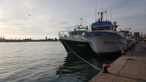 Puerto de Castell&oacute;n