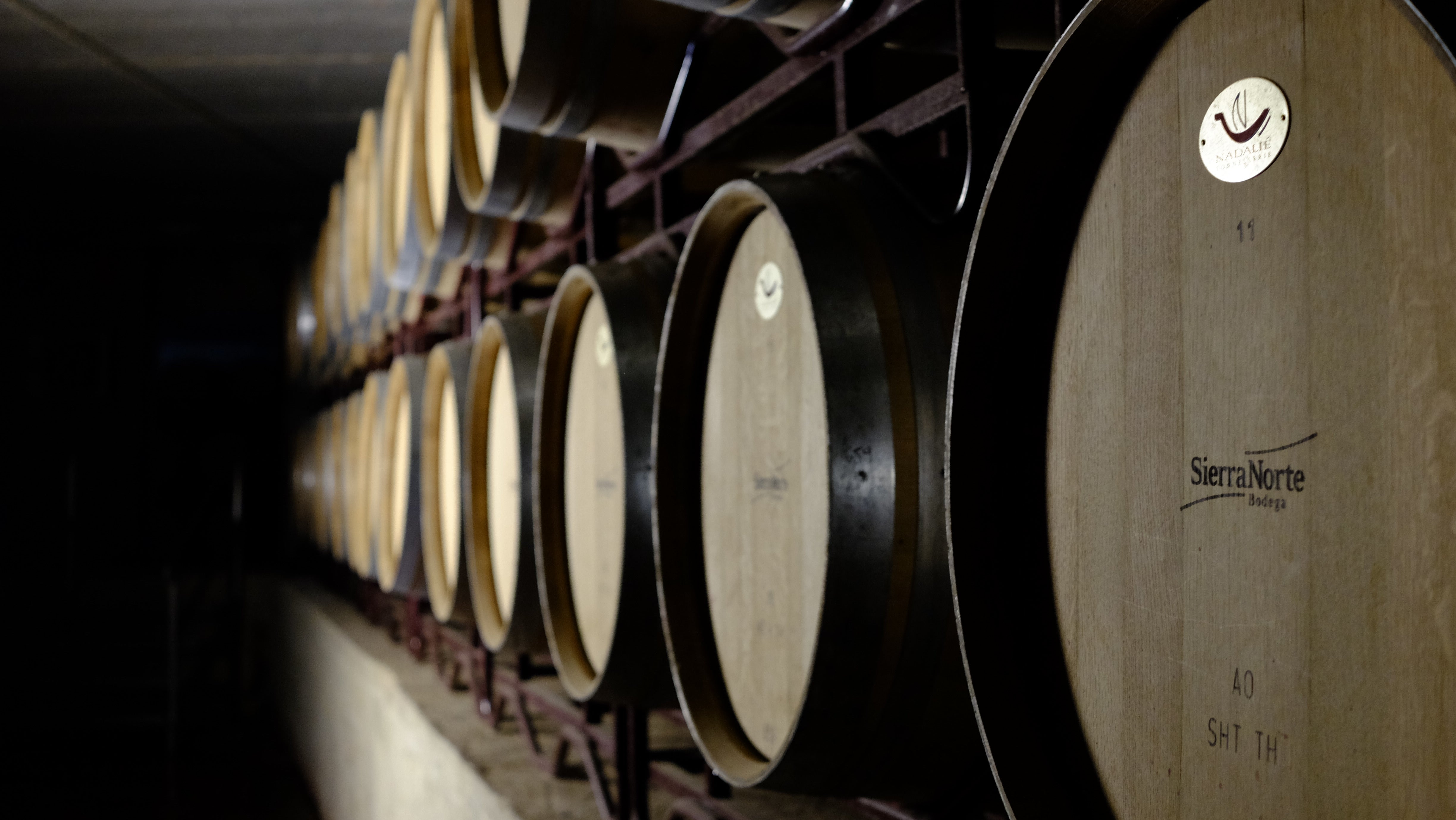 La pasión por el vino de Bodegas Sierra Norte se transmite en las experiencias en Finca Calderon La pasión por el vino de Bodegas Sierra Norte se transmite en las experiencias en Finca Calderon