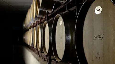 Bodega Sierra Norte Bodega Sierra Norte