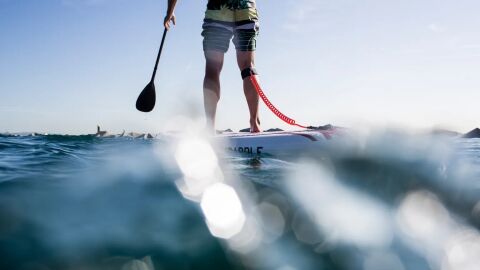 Paddle Surf