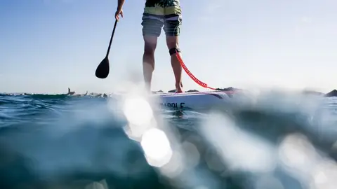 Paddle Surf Paddle Surf