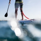 Paddle Surf Paddle Surf